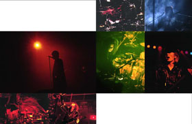 Design Image 12