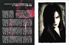 Design Image 08