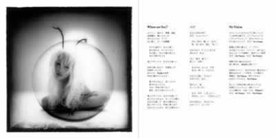 Design Image 06
