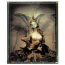 Design Image 23
