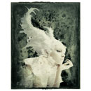 Design Image 26