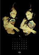Design Image 09