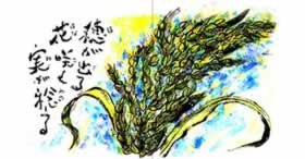 Design Image 11