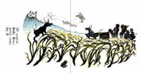 Design Image 13
